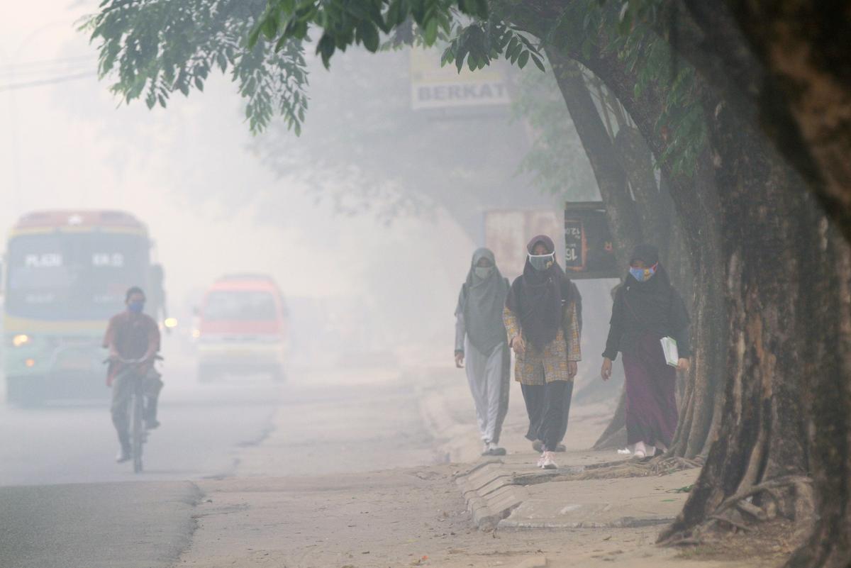 Tracking Climate Finance Tricky, According to OECD Report