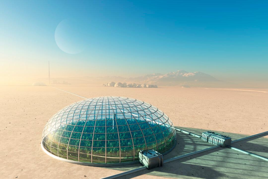 Scientists Grow Sweet Potatoes in Martian Greenhouse