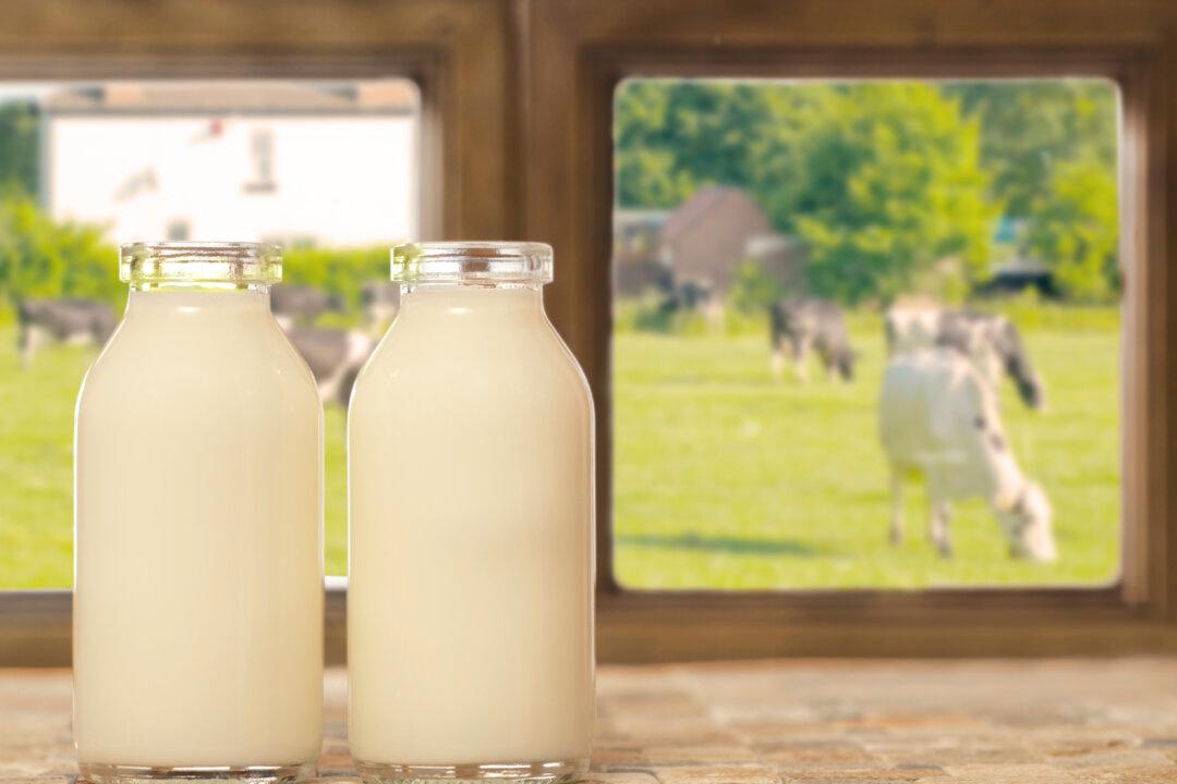 A2 Milk Shares Spill After Chinese ‘Personal Shopper’ Market Collapses