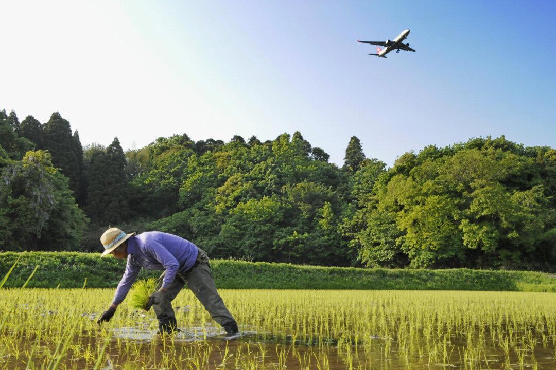 Japan May Have Tricky Time Passing TPP After Making Concessions on Rice, Beef