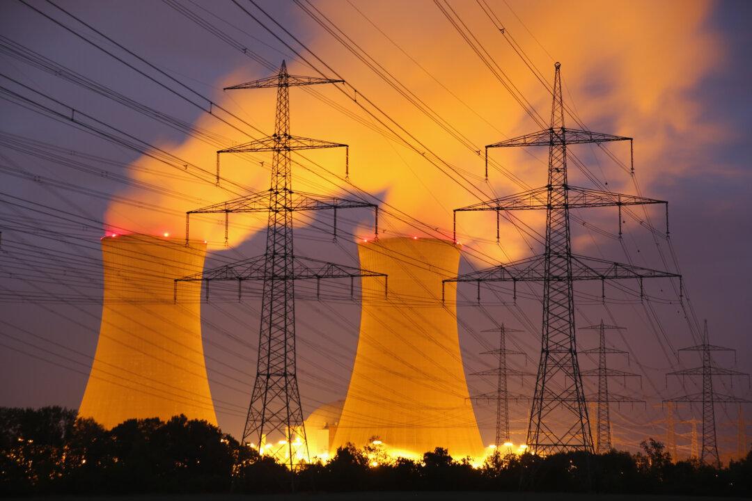Nuclear Power Plants in the Age of Cyberterrorism