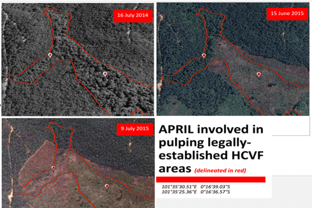 Indonesia’s Second Largest Paper Mill Illegally Clearing Forest