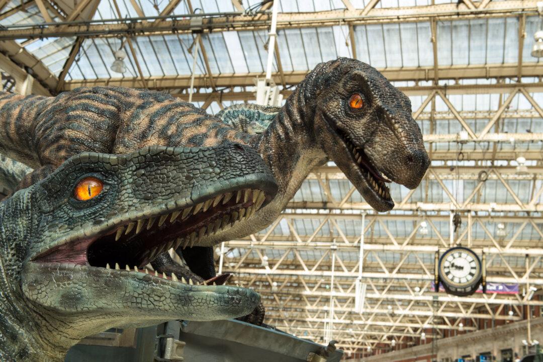 Hot or Not: Were Dinosaurs Warm-Blooded?