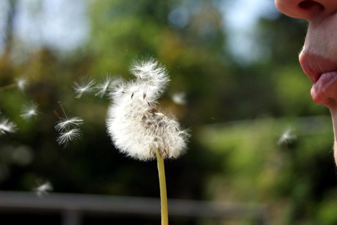 On Eternal Life: Why an Anti-Ageing Pill Might Sour the Pleasures of Existence