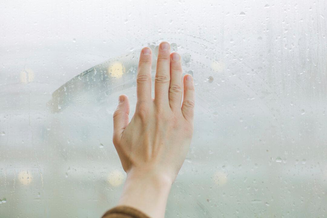 Fake Skin Sends Pressure Signals to Brain Cells