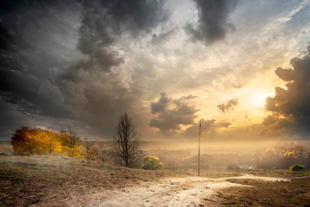 Book Review: ‘The Road to Character’