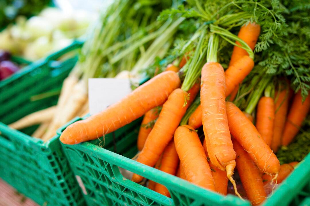 Foods You Can Grow and Store All Winter