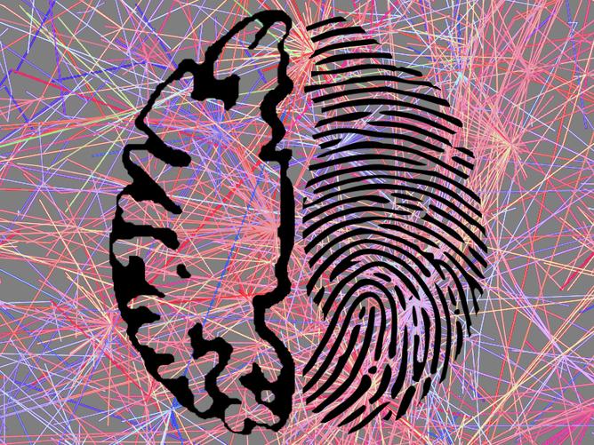 Brain Activity Is as Unique—and Identifying—as a Fingerprint