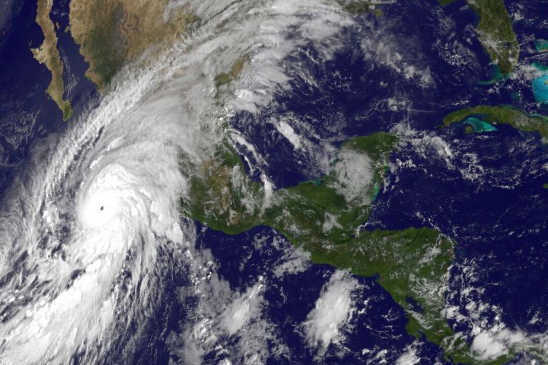 Why Did Hurricane Patricia Become a Monster so Quickly?