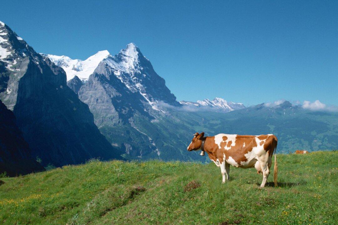 Pure Switzerland—From Interlaken to Jungfraujoch