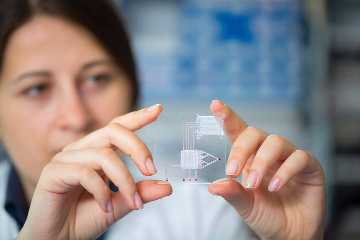 Explainer: A New Nanochip That Will Detect Bacterial Infections in 15 Minutes