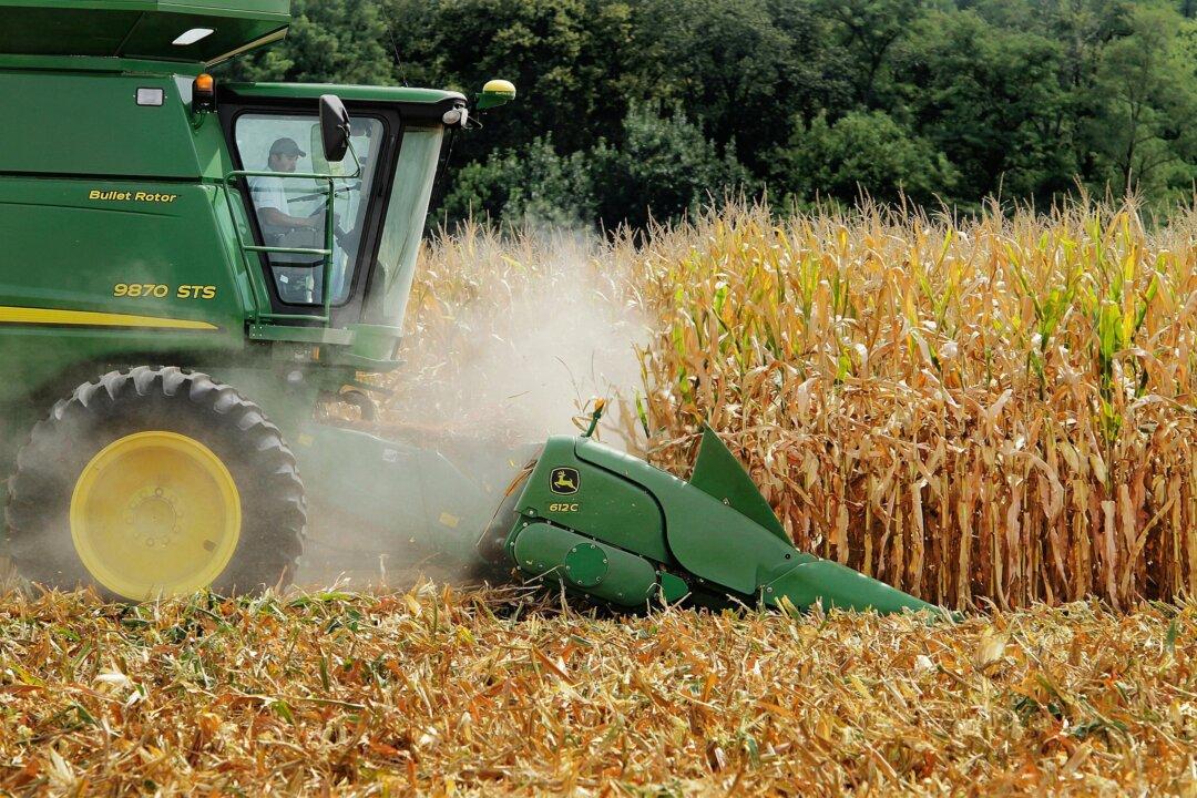 Tyson Foods to Phase Out High-Fructose Corn Syrup by End of 2025