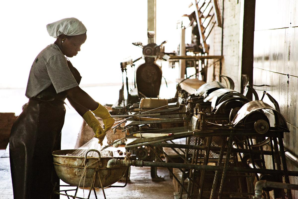 Of Pirarucu Skins and Other Sustainable Things