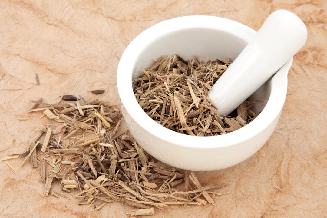 Siberian Ginseng for Energy and Endurance