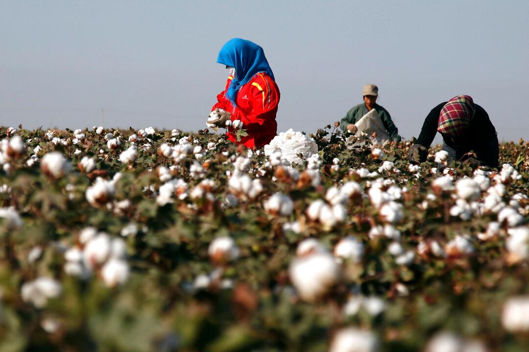 Australia’s Cotton On Probes Chinese Supplier Amid Forced Labor Fears