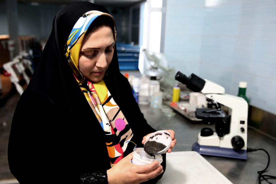 Iran Seeks Revival of Caviar Industry in Post-Sanctions Era