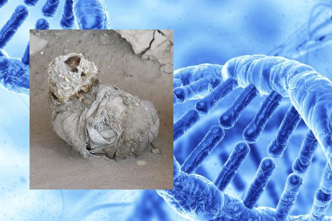 Ancient Peruvian Mummy Surprises Researchers With Antibiotic-Resistant Genes