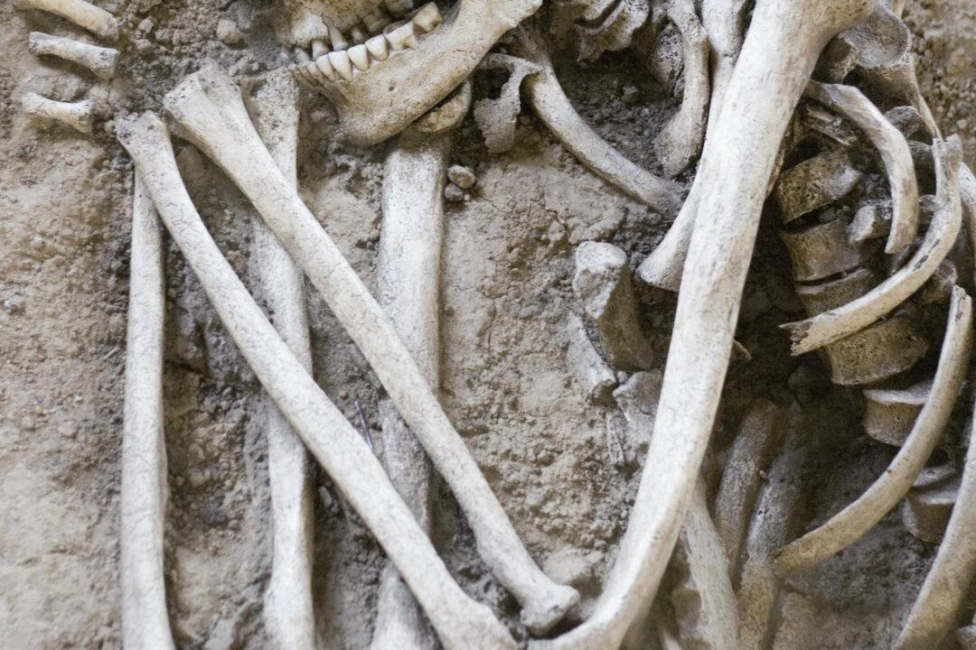 Giant 7-Foot to 8-Foot Skeletons Uncovered in Ecuador Sent for Scientific Testing