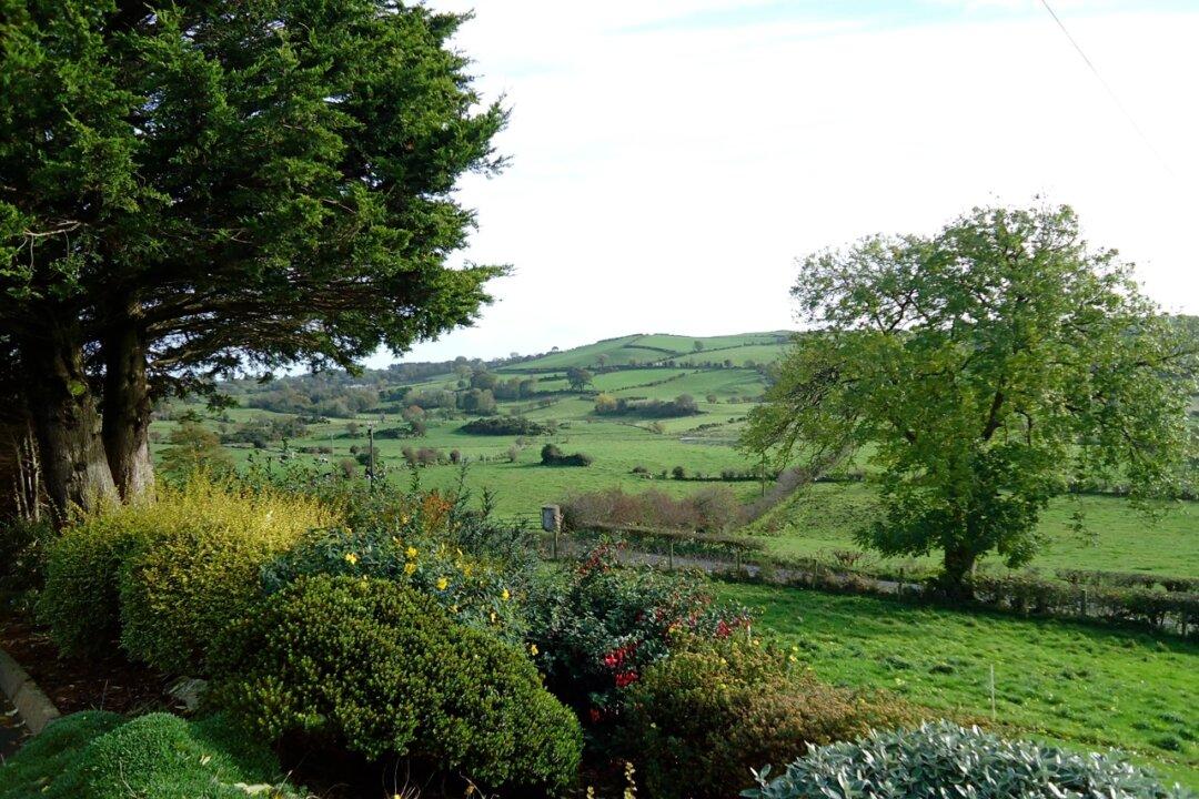 Exploring Northern Ireland’s Flourishing Foodie Culture