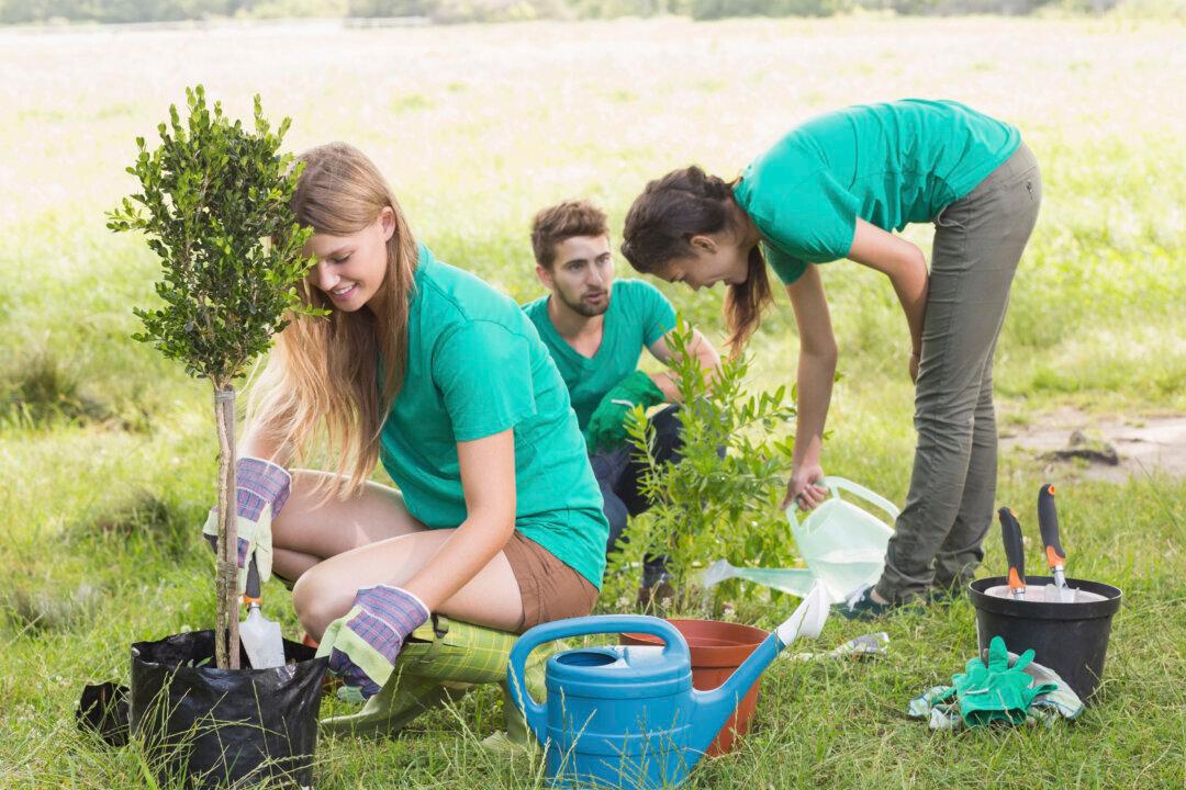 Why Gardening Is Good for Your Mind as Well as Your Body