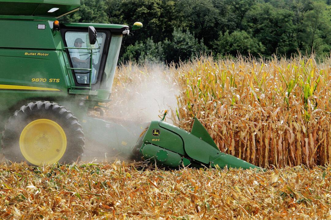 Sugar, Corn Industries Settle Sweetener Spat; Terms Secret