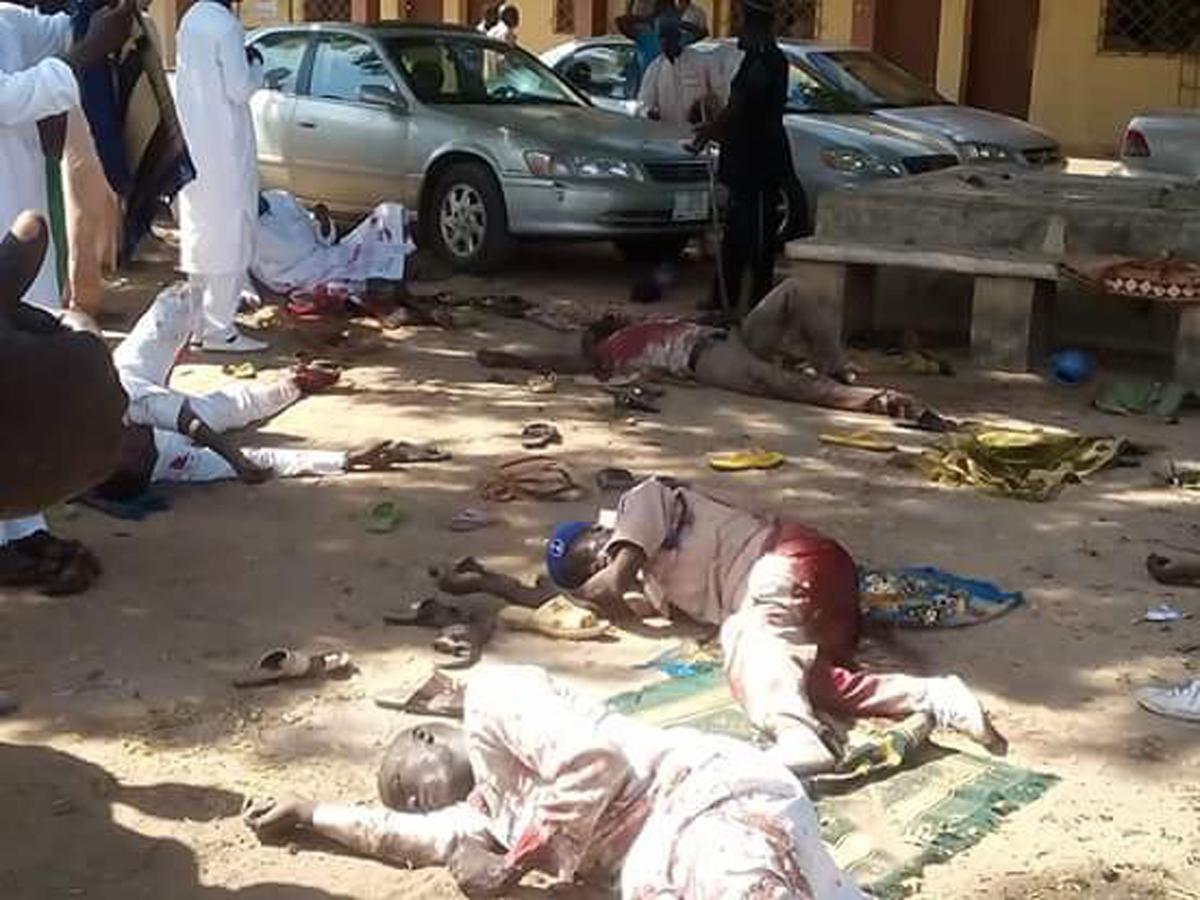 Suicide Attacks in Nigeria, Cameroon Kill 12 Plus 5 Bombers