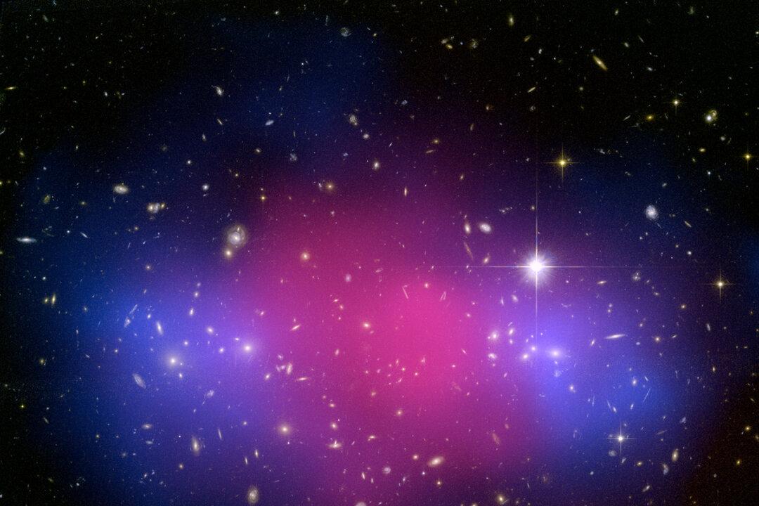 Tons of Dark Matter Hide in Nearby Dwarf Galaxy
