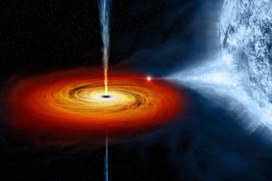 Scientists Just Caught a Black Hole Eating a Star, and Spitting It Back Out