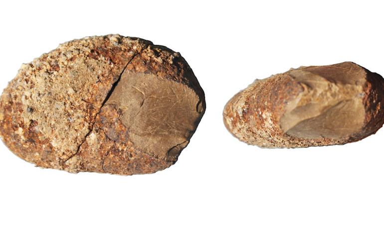 Did Earliest Americans Spend Summer in Monte Verde?