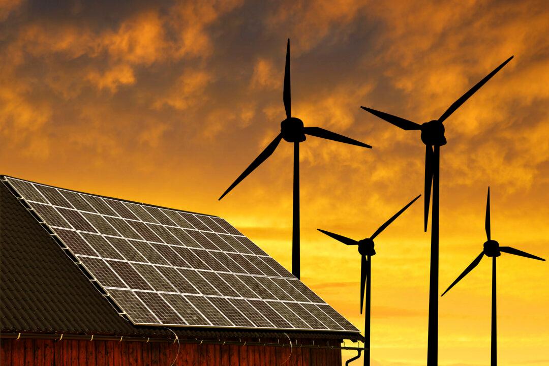 Germany’s Big Push for Renewables Is Paying Off