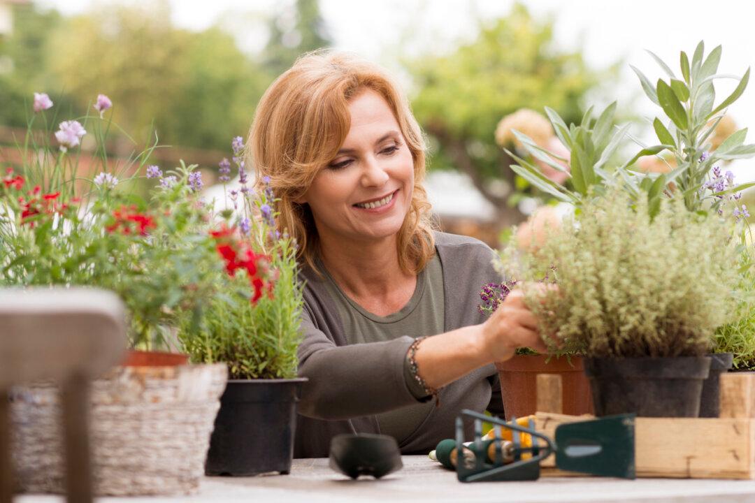 Self-Guided Therapy Improves Menopause Symptoms: Study