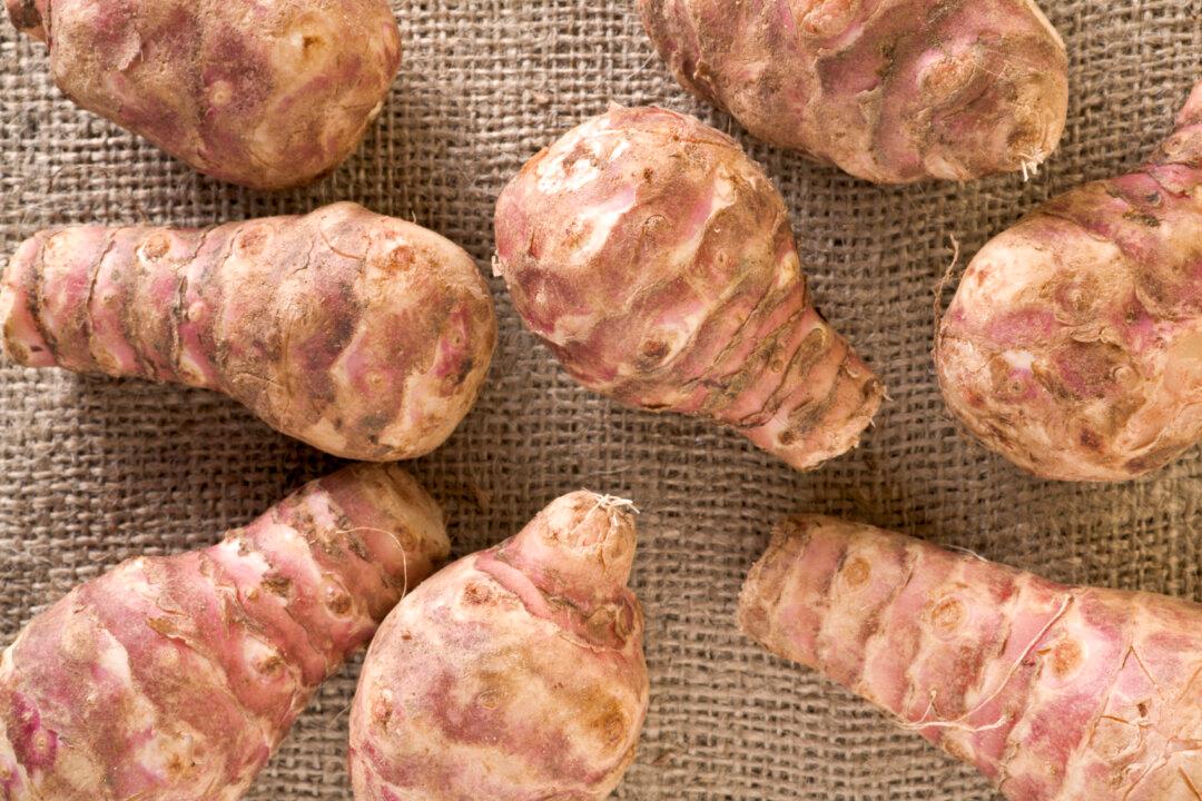 Eat This Special Fiber for Good Gut Health