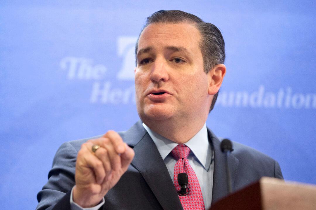 Cruz Seeks to Turn Irascible Personality to His Advantage