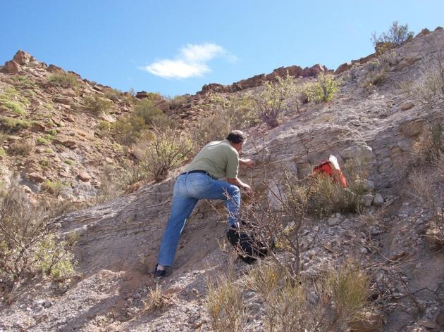 First Dinosaurs Roamed the Earth 5-10 Million Years Earlier Than Believed: Study