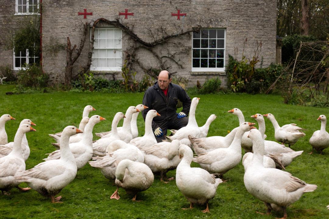 Photos of the Day From All Around the World