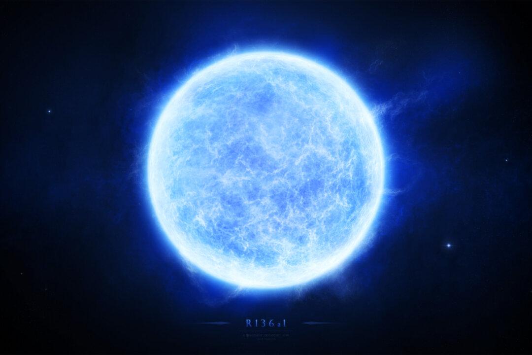 What Is the Biggest Star in the Universe?