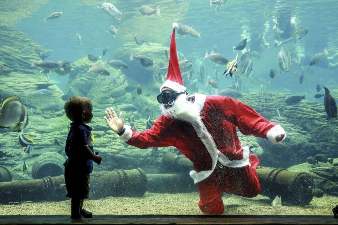 A Professor’s Message for the Holidays: Time to Celebrate!