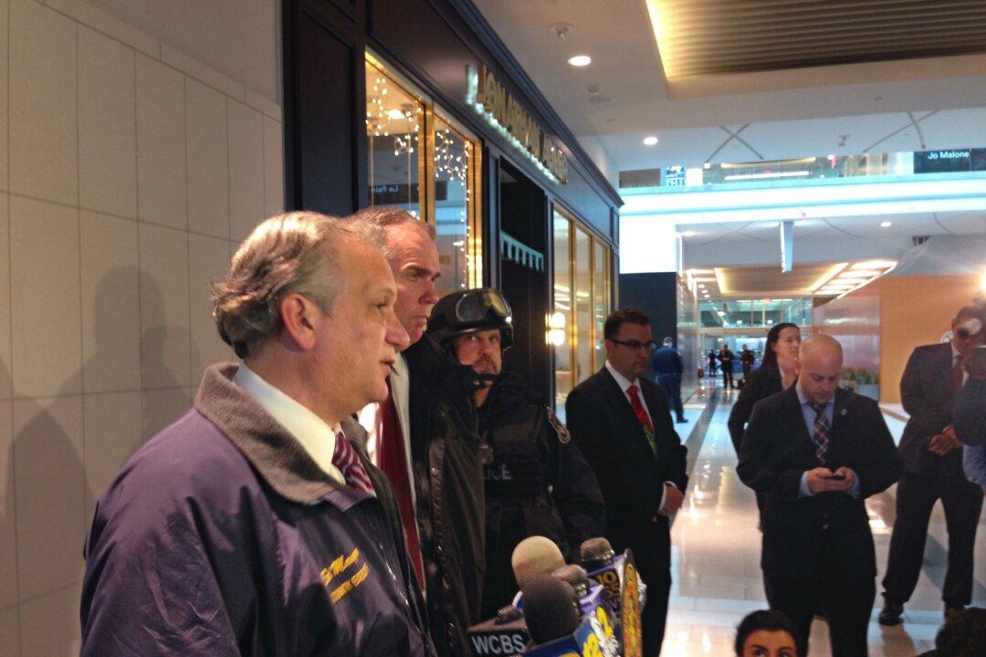 Suspect Heads to Court Following Mall Robbery Attempt