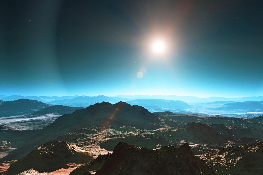To Stop Mass Extinction, Focus on the ‘Ghosts’