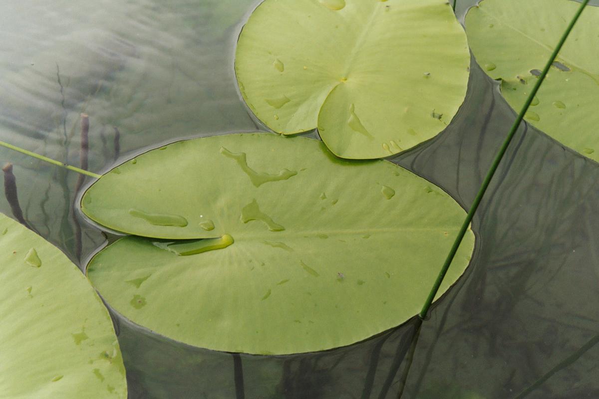 This Nontoxic Material Is a Spray-On Water Repellent