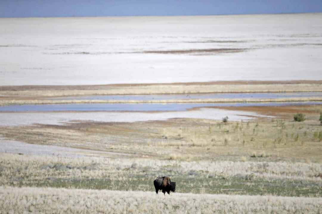 Utah Sues to Challenge Federal Control of Unappropriated Public Lands