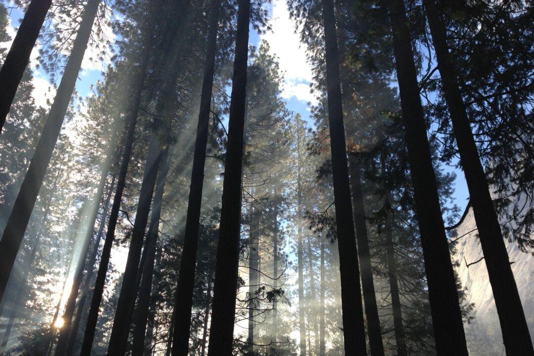 Obama, Lawmakers See Centennial as Chance to Boost Parks