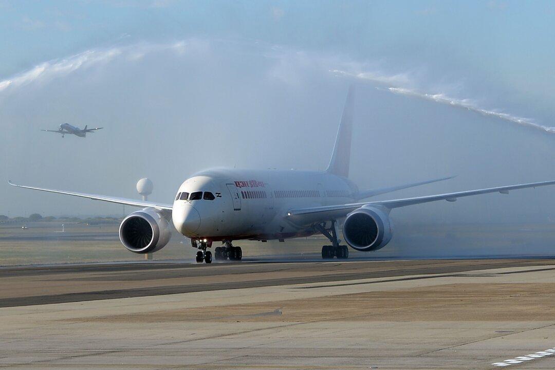Air India Plane Turned Around After Rat Spotted on Plane