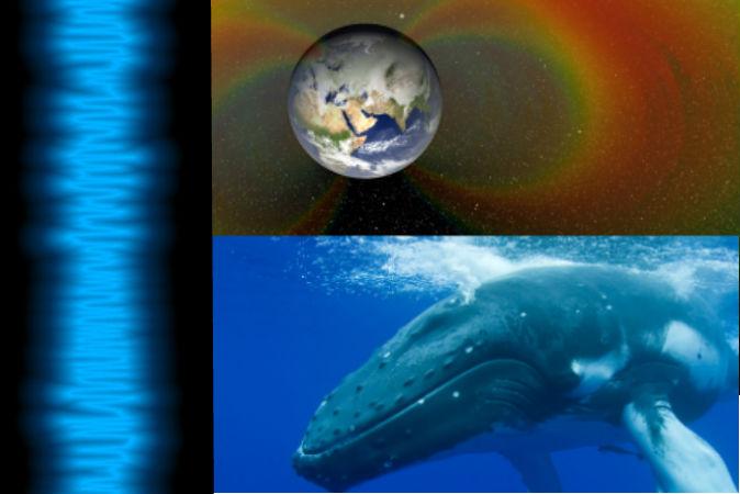 Sounds in Space Resemble Humpback Whales: Listen Here