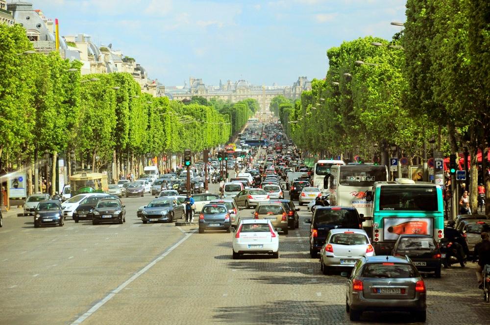 Can Trees Really Cool Our Cities Down?