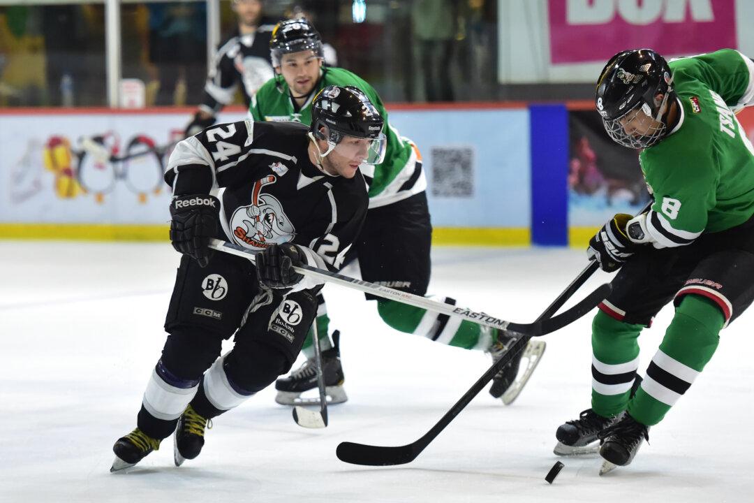 Sharks Lead the Way Into 2016