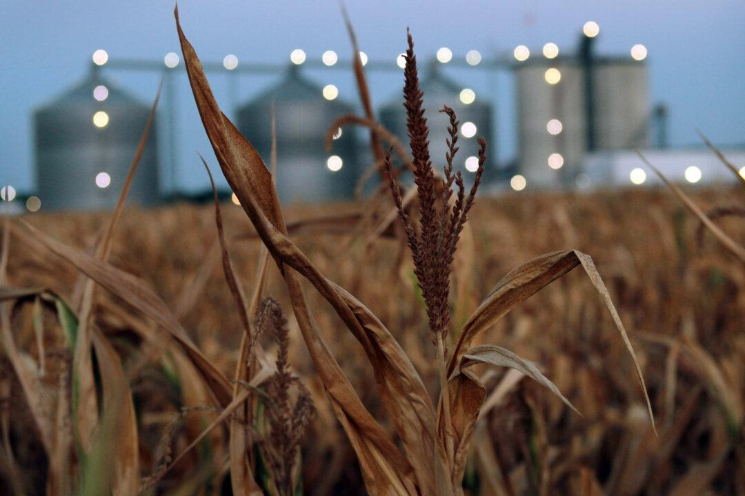 Take the Renewable Fuel Standard Down to Zero