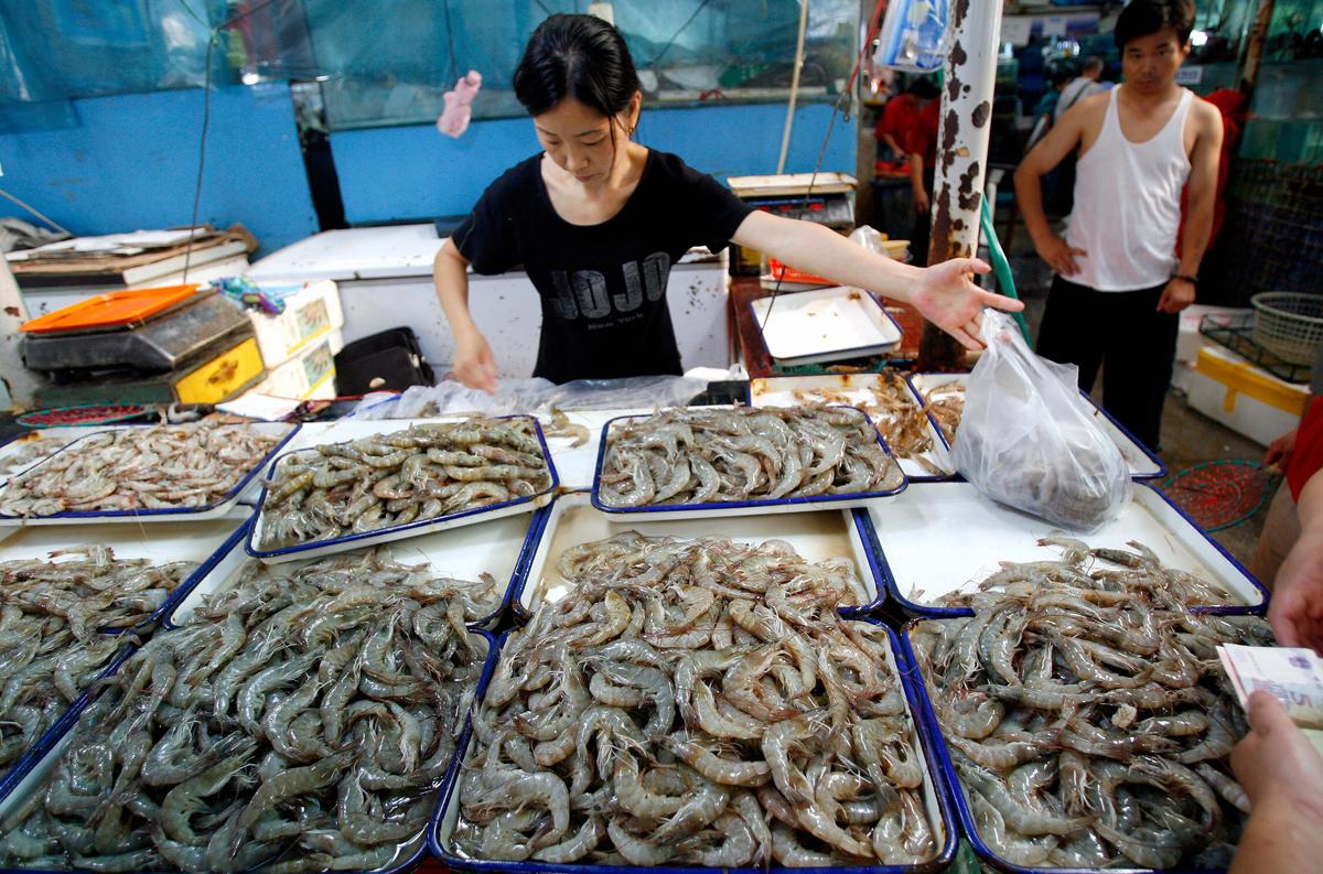 The Curious Case of the Gel-Injected Shrimp From China