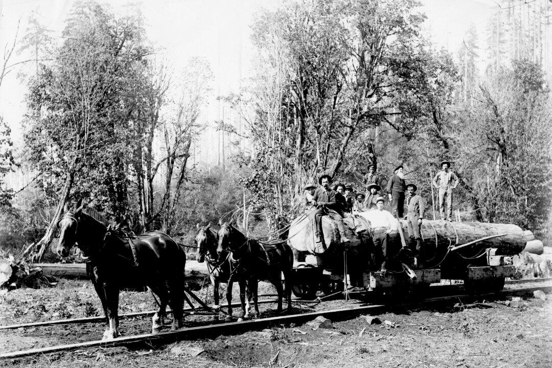 The Twisted Roots of US Land Policy in the West