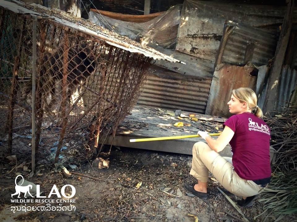 They Got a Call About a Monkey Living in a Cage, so They Rushed Over...